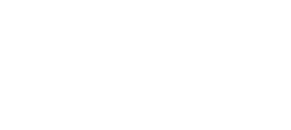 Logo de l'association Bingo au niveau du pied de page